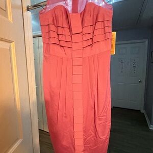 Nue by Shani Strapless Pink Dress
